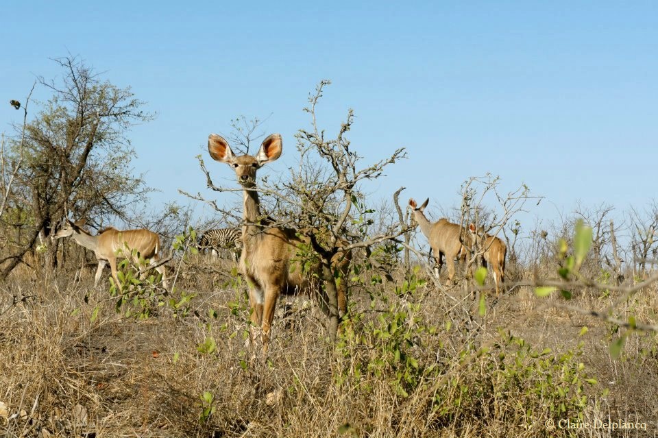 299987_10150439244130090_1547057727_n