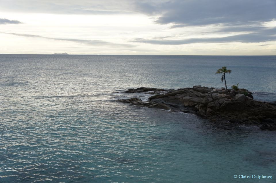 307239_10150355918925090_1005378_n