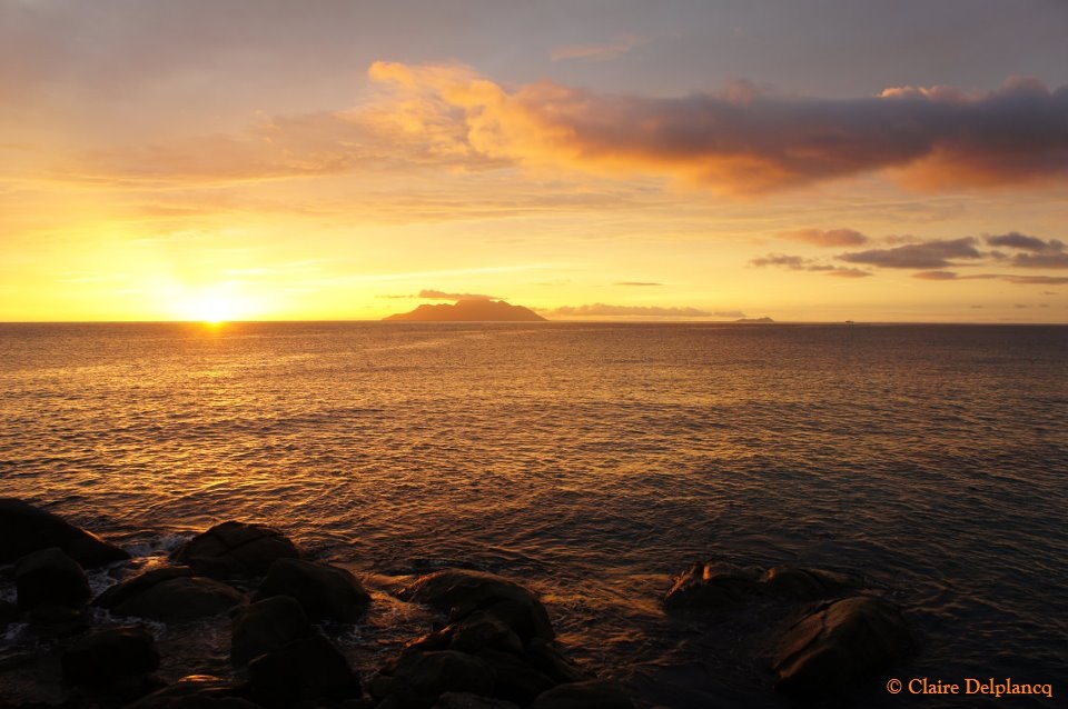 318751_10150355947210090_8149614_n