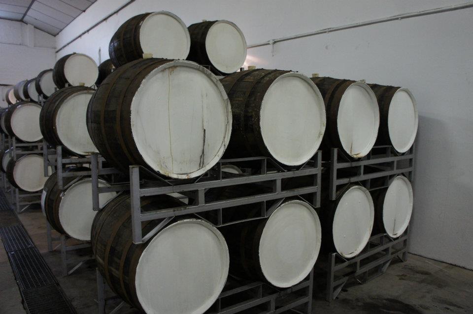 299838_10150439262965090_1118853066_n