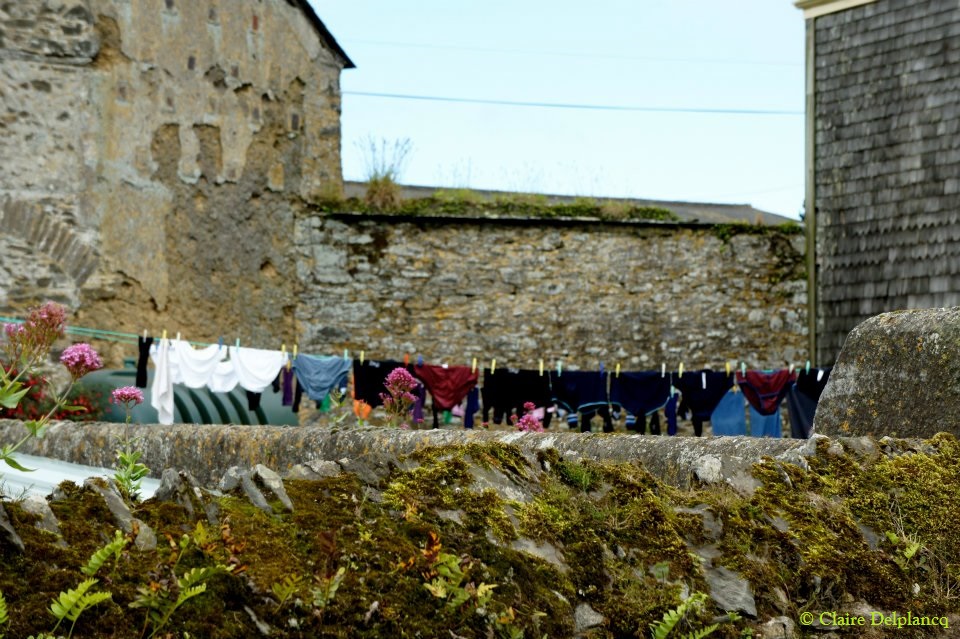 185965_10151141110225090_281976075_n