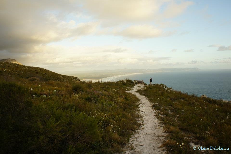 298094_10150439266100090_207787199_n