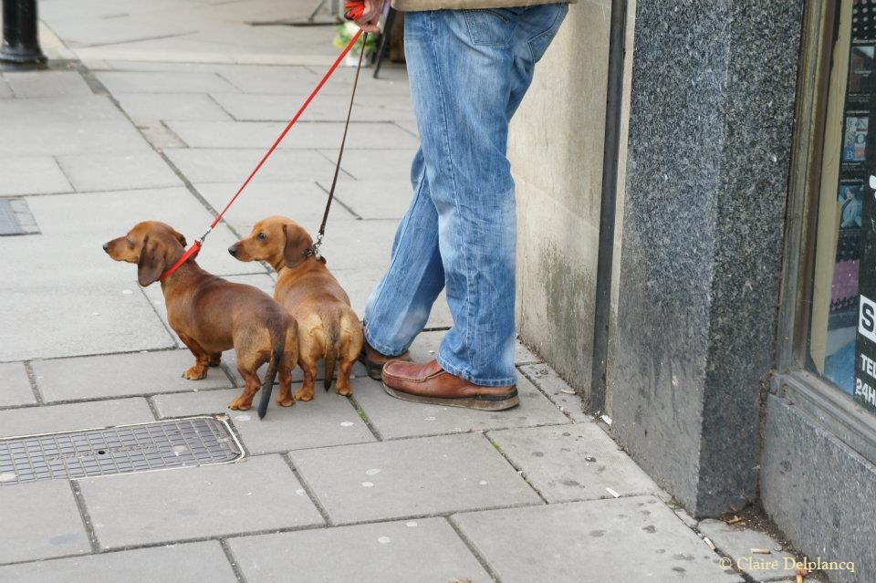 376718_10150442845860090_652541214_n