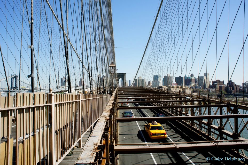 563384_10150762827800090_338825821_n