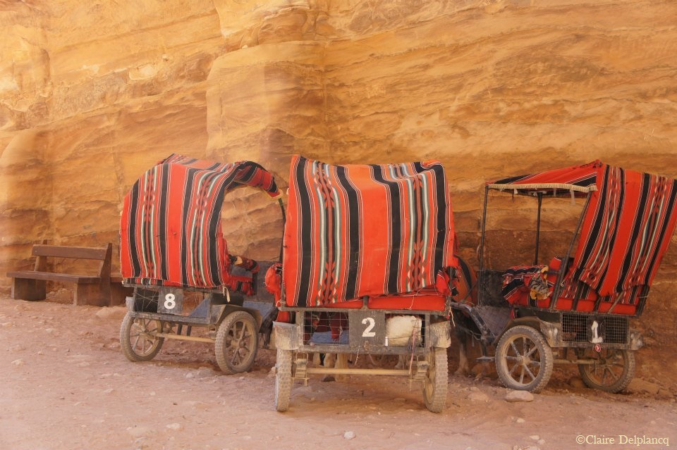 10536_10151263487350090_969305114_n