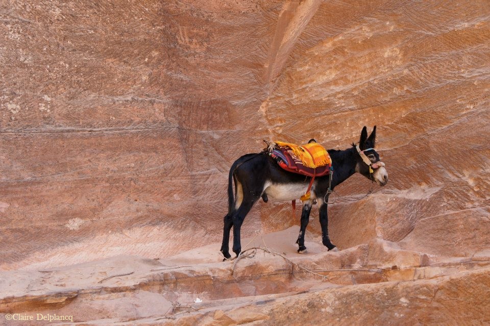 66543_10151263487645090_587727164_n