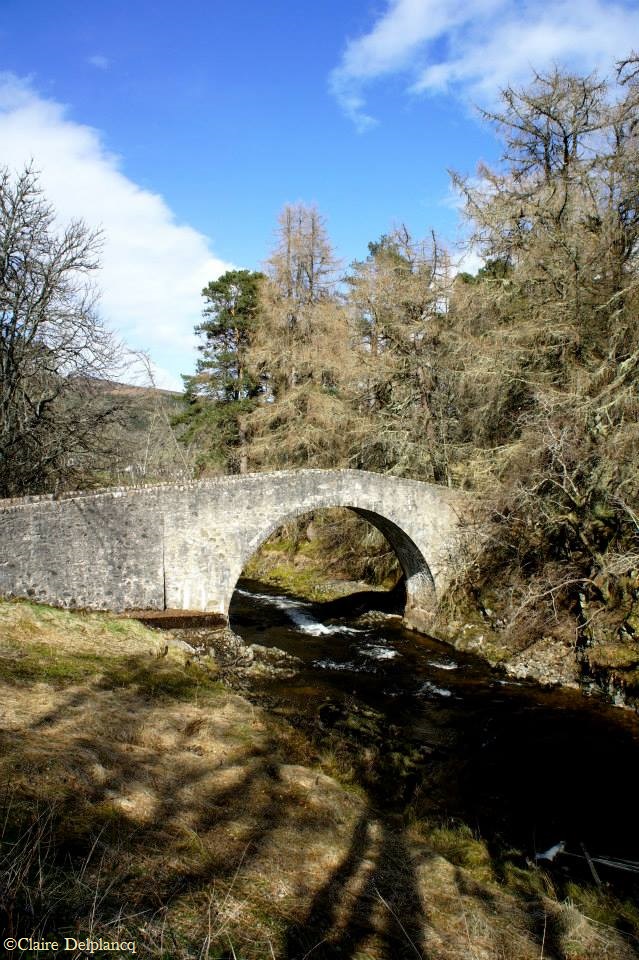 970776_10151643599870090_1565436080_n