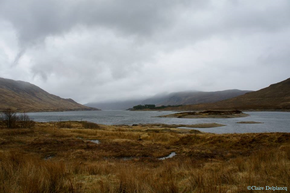 970995_10151643602910090_582982587_n