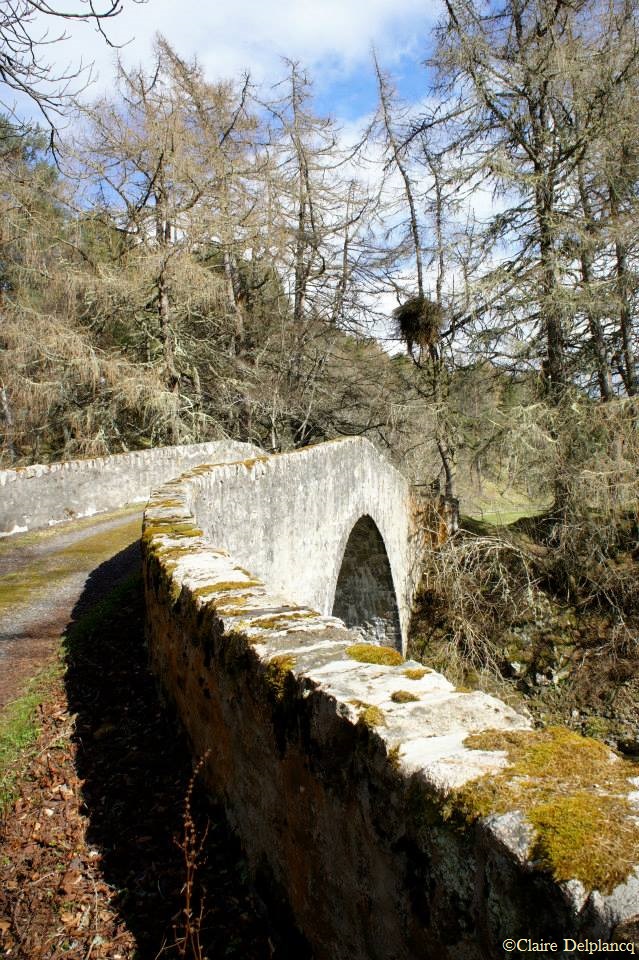 972211_10151643599930090_689902617_n