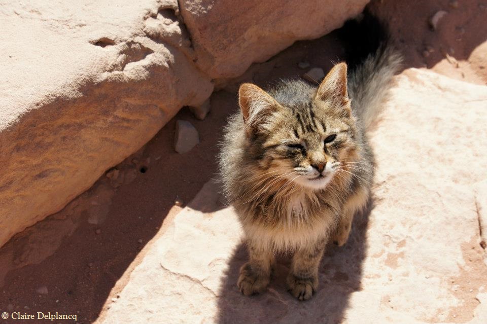 68407_10151263487695090_1607193616_n