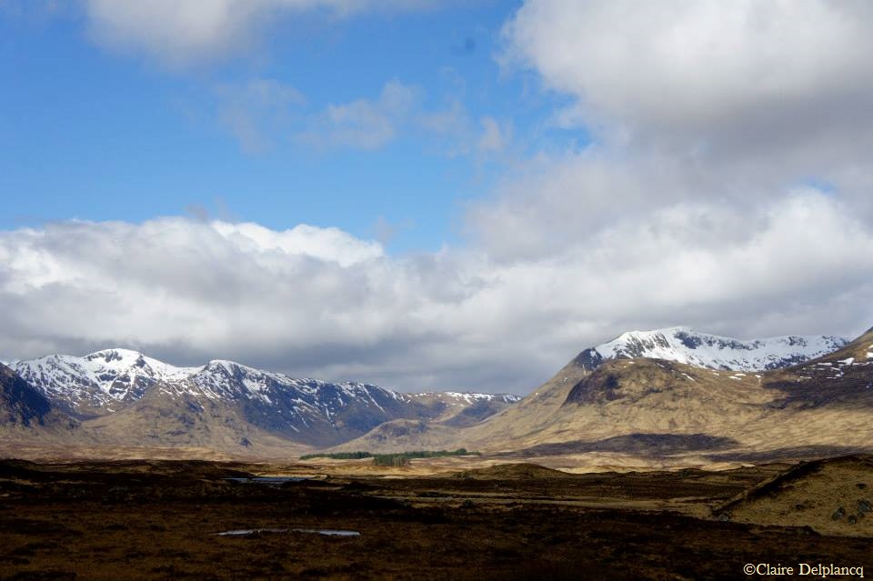 945120_10151643606020090_835558315_n