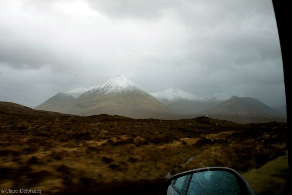 947174_10151643604595090_1732026189_n