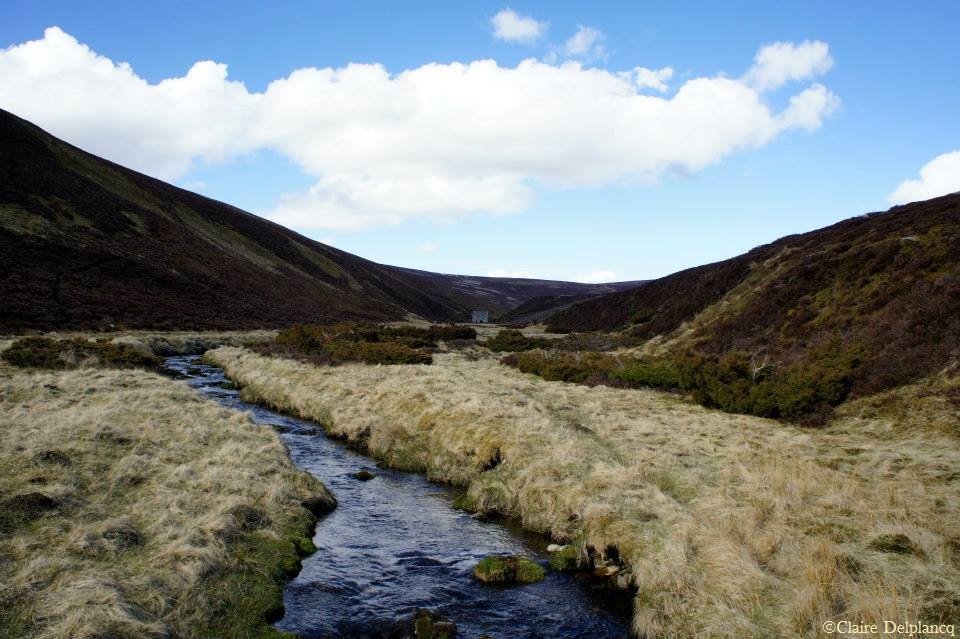 960148_10151643600160090_496383319_n