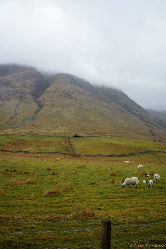 969564_10151643605180090_551002997_n