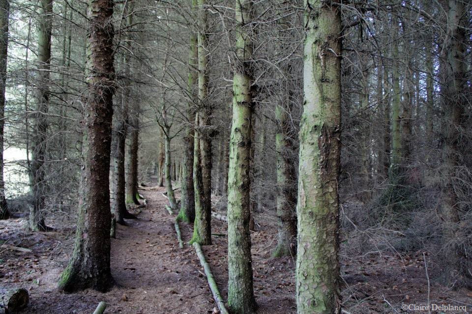 165479_10151643600440090_179940792_n