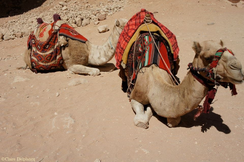 75759_10151263487275090_805215543_n