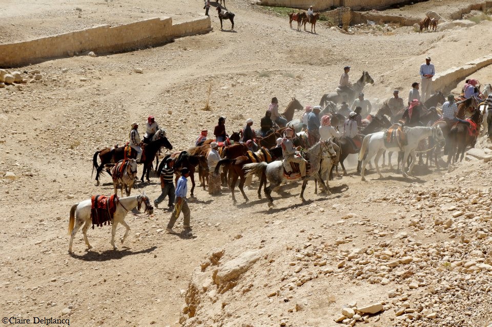 198794_10151263484430090_176486993_n