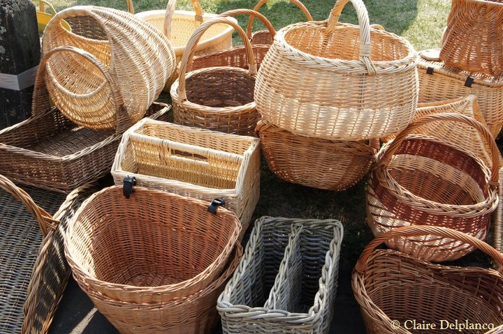 221611_10150238354550090_3374745_n