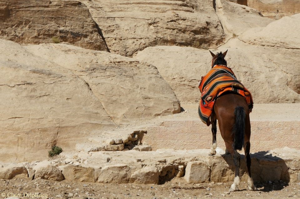 251249_10151263485750090_745494375_n