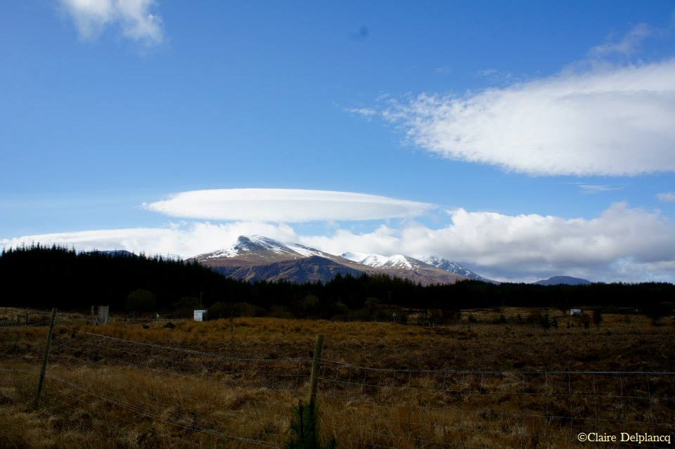 179174_10151643605810090_54684099_n