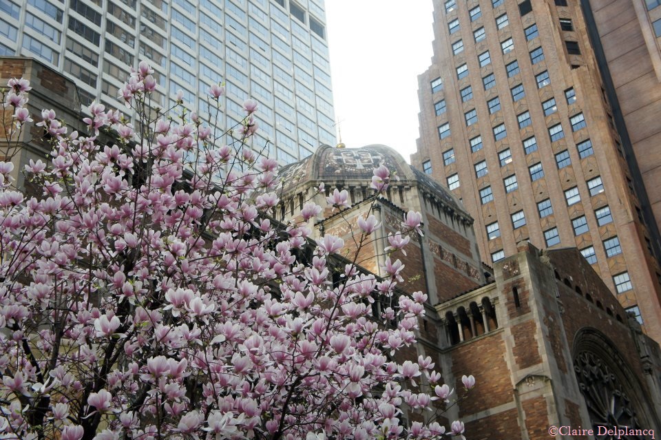 526446_10150762707855090_693170768_n