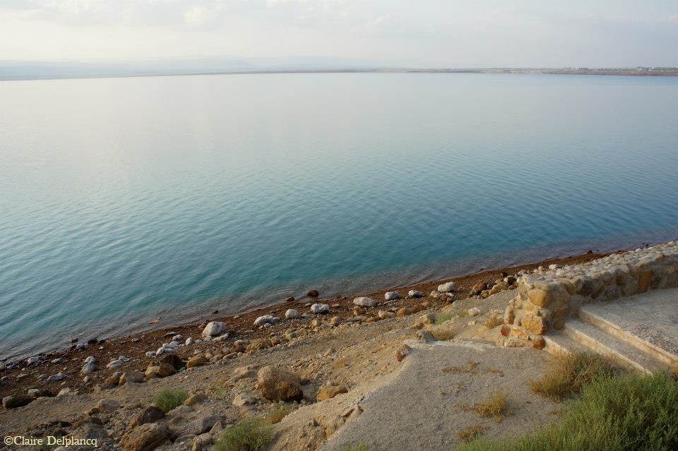 285155_10151263492500090_1289908998_n