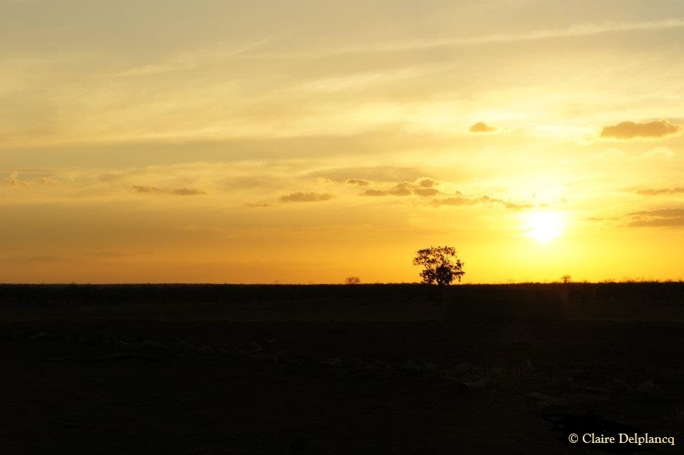 384902_10150439242740090_1953379320_n