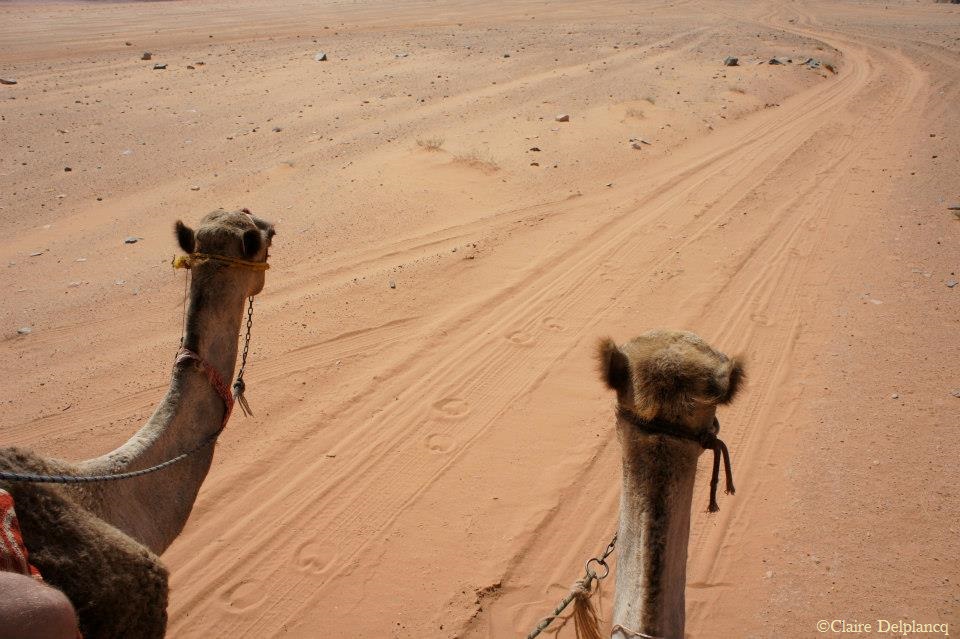 391631_10151263475890090_153048836_n