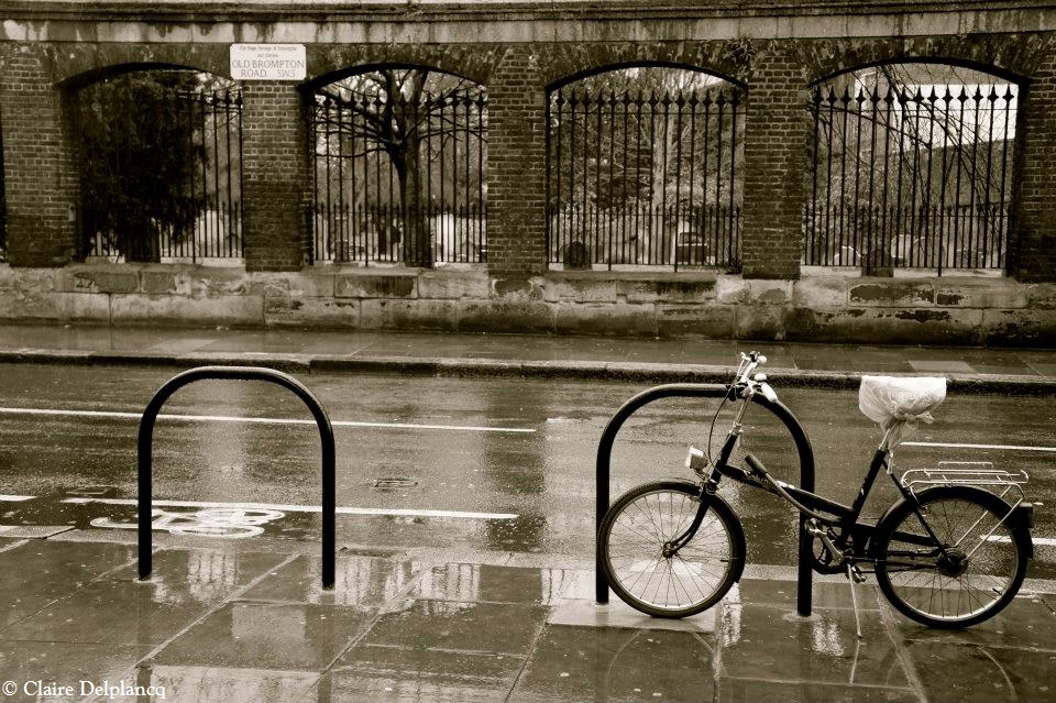 417337_10150704514455090_1535761182_n