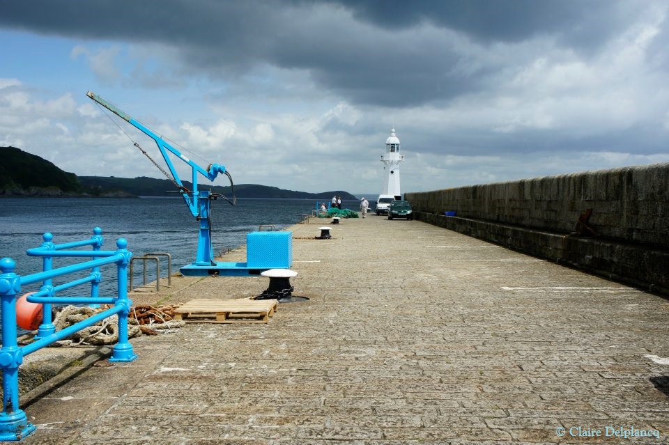 484617_10151141095485090_1038785368_n