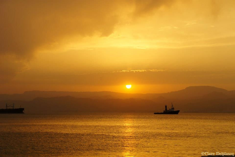 487943_10151263474150090_935030260_n