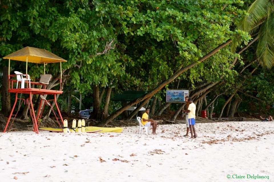 299342_10150355930065090_5900939_n