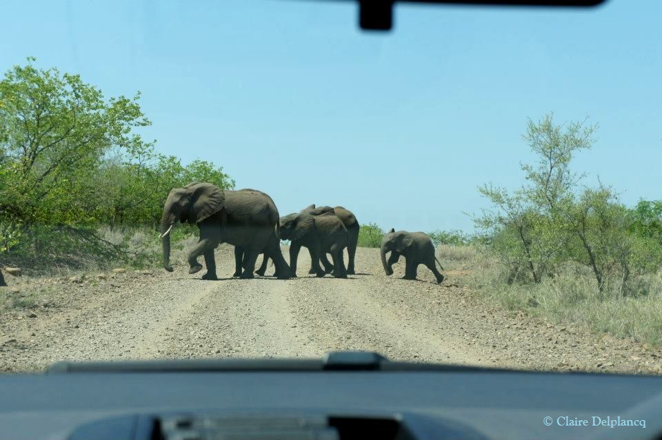 300826_10150439248585090_753611934_n