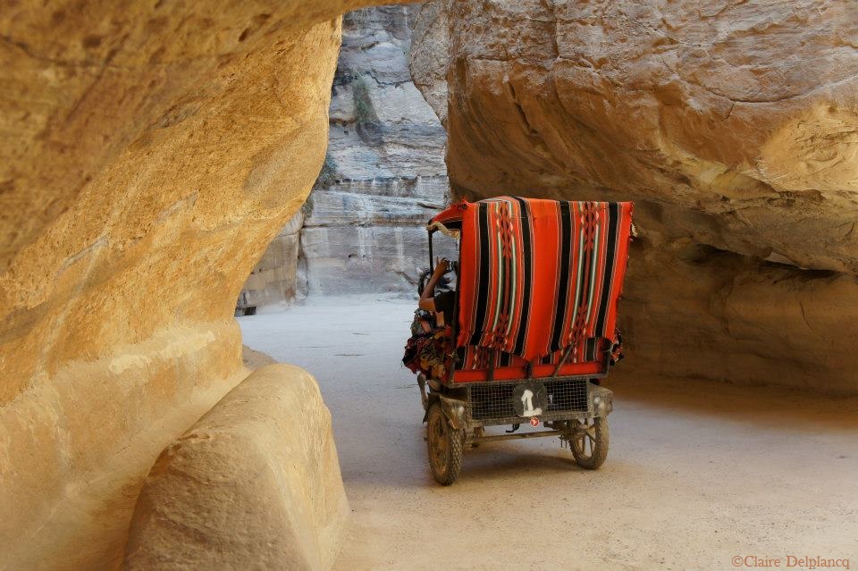 308036_10151263486045090_1009764626_n