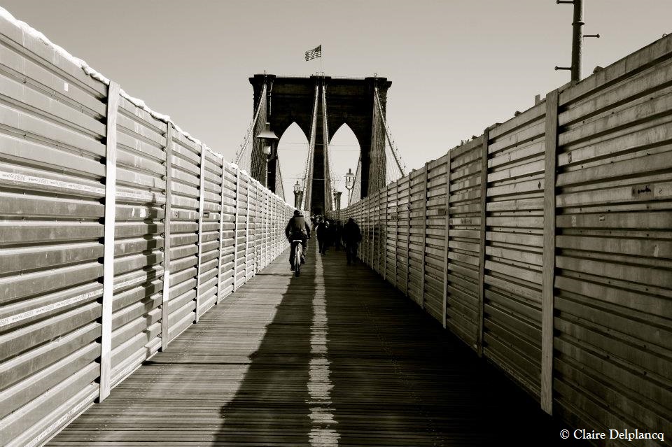 536399_10150762827510090_780965746_n