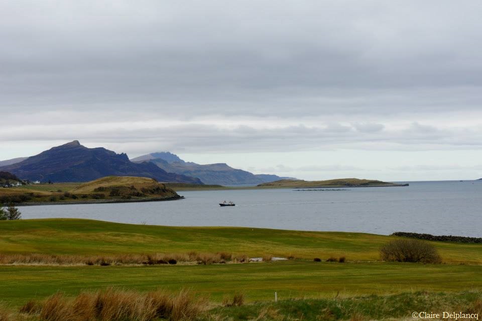 942513_10151643603040090_150531662_n