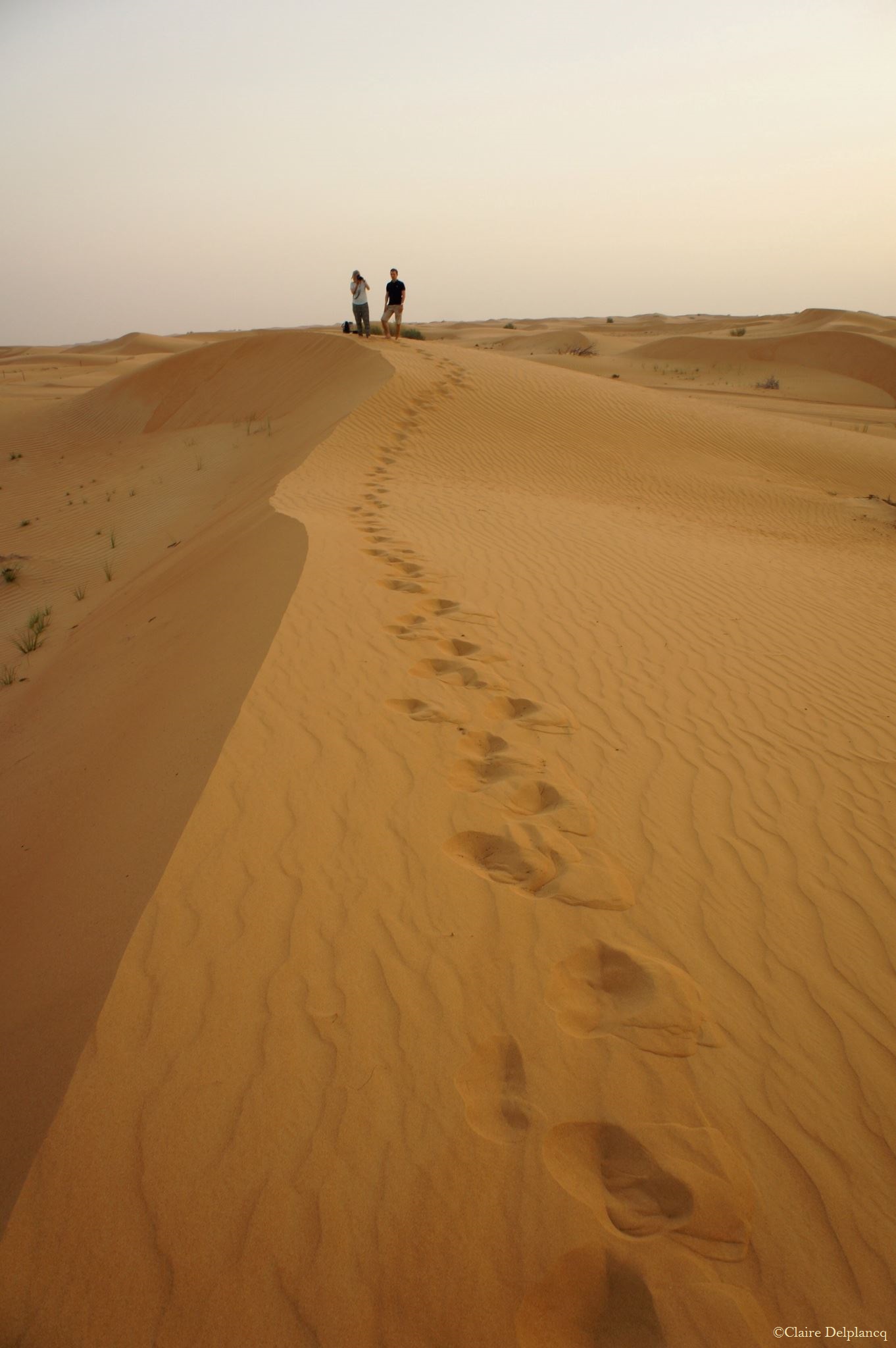 10264011_10152446430345090_4294820531539781290_o