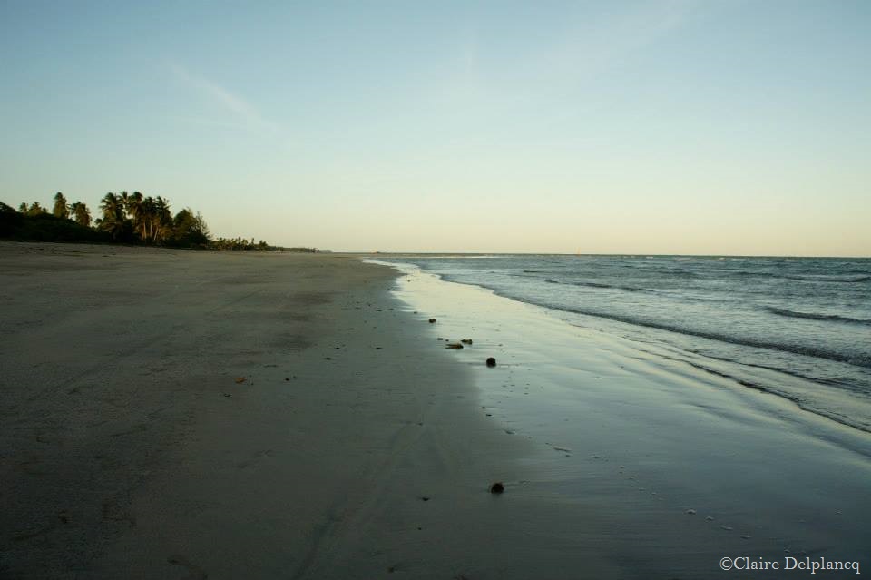 1450818_10152059750295090_262972617_n