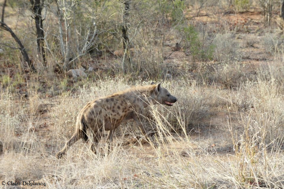 298674_10150439242050090_1195481353_n