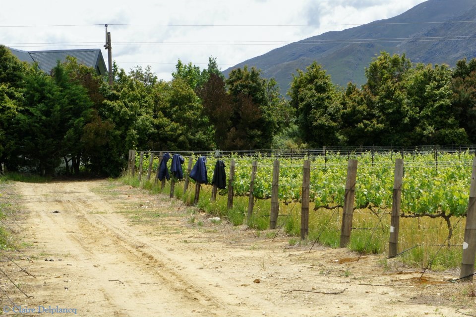 300637_10150439274680090_86691942_n