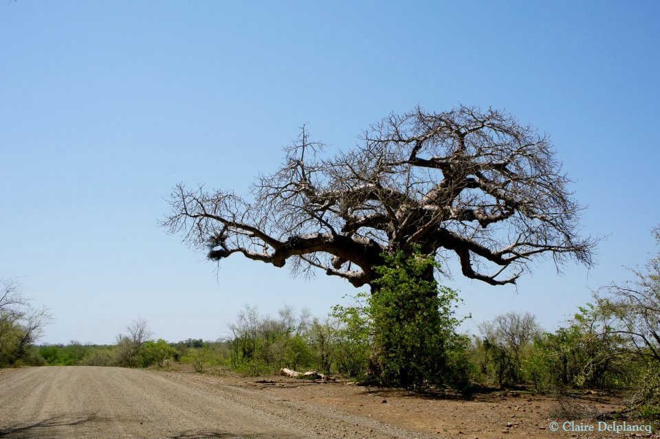 379655_10150439248825090_1042696076_n