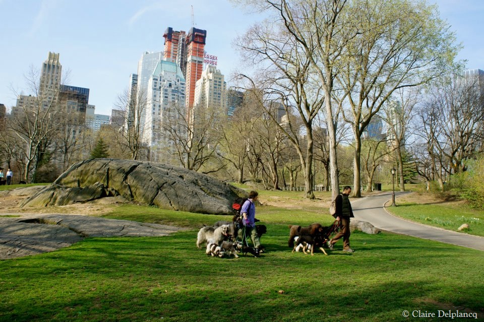 562977_10150762709615090_1980553768_n