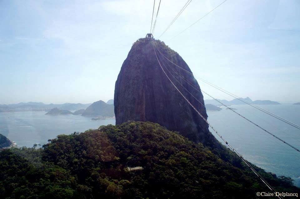 994385_10152059829085090_1851108553_n