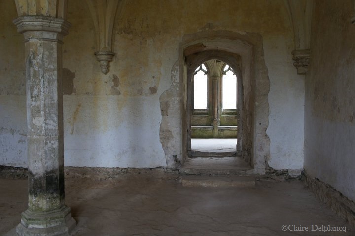 221864_10150238358375090_6559465_n