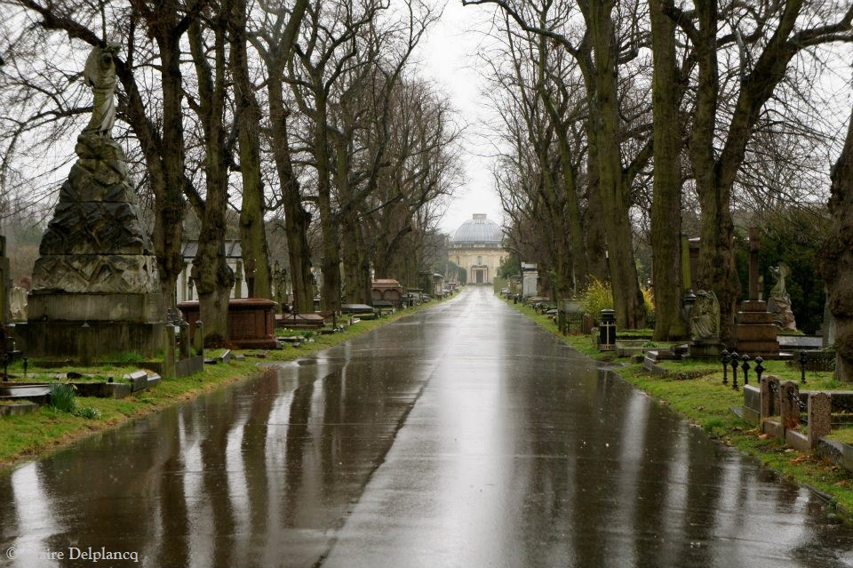 432306_10150704518225090_666395452_n