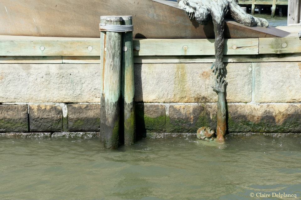 558307_10150762722635090_1371130348_n