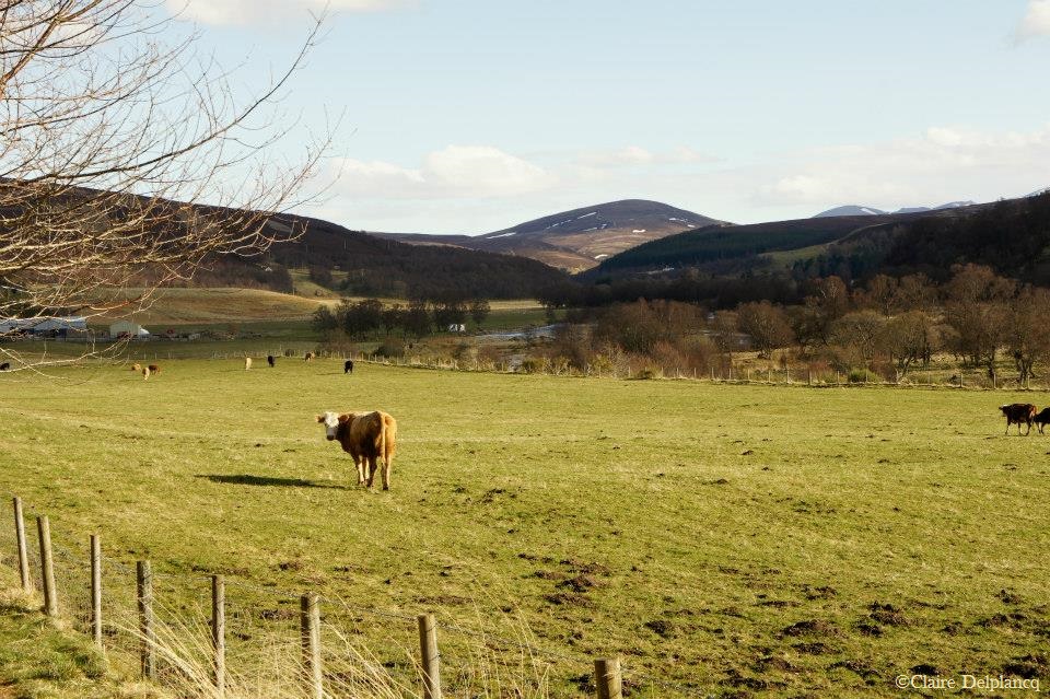 943685_10151643601565090_1872957711_n