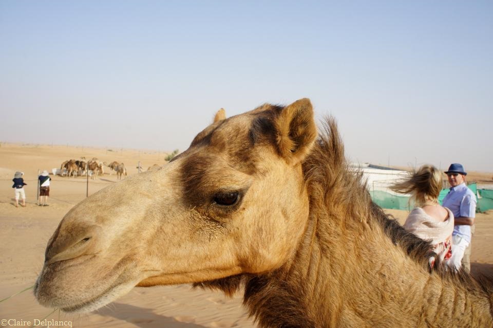 10471036_10152446408860090_7903185019897560863_n