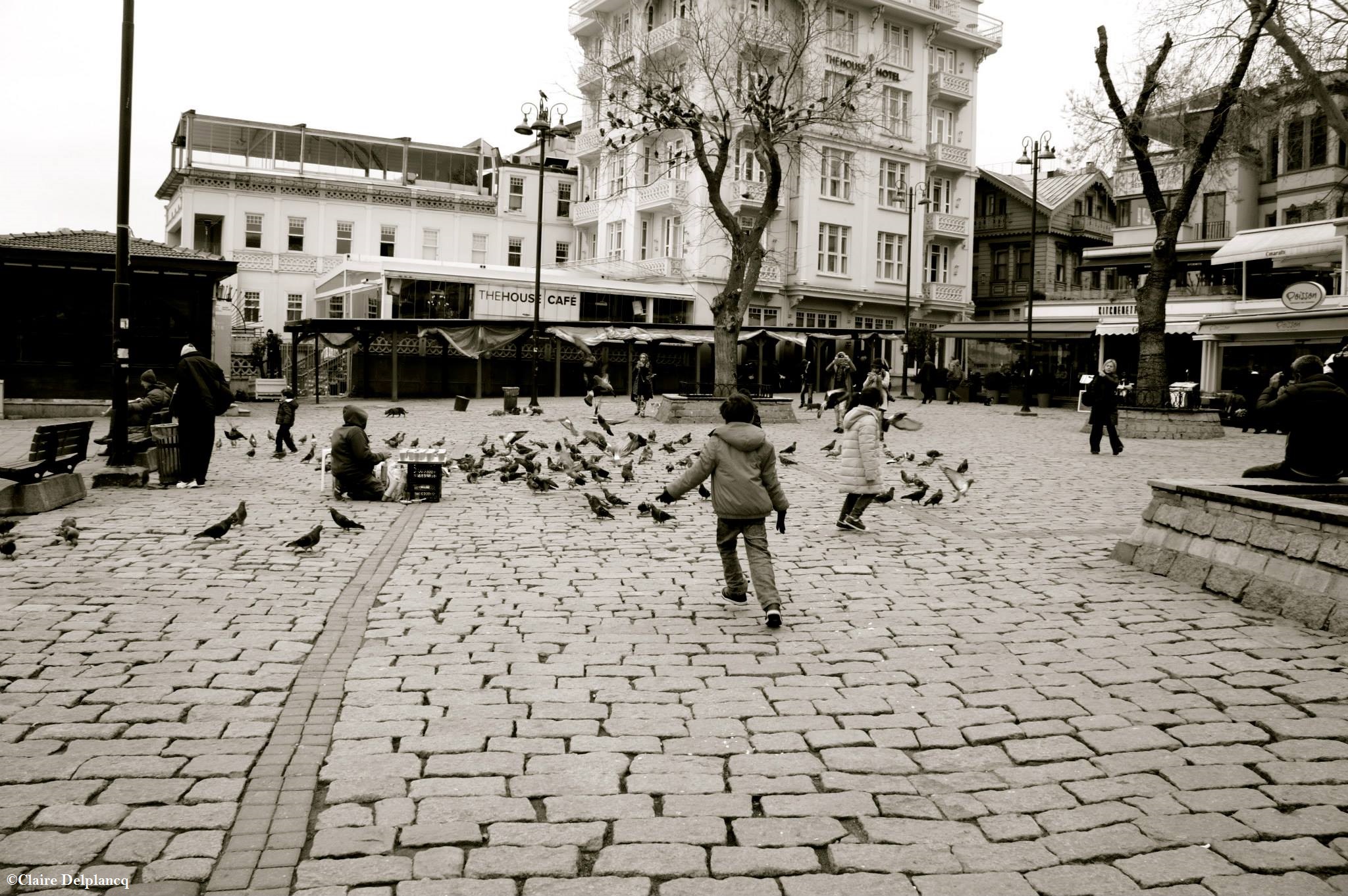 11026203_10153226702375090_7997787774984865419_o