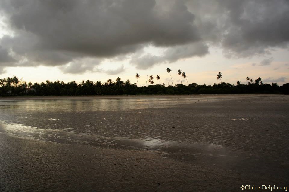 1424457_10152059763905090_864777085_n